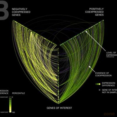 Detangling Network Hairballs : Linear Hive Plots
