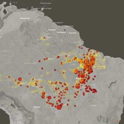 Notícias | InfoAmazoniaInfoAmazonia | Meio Ambiente e Visualização de Dados
