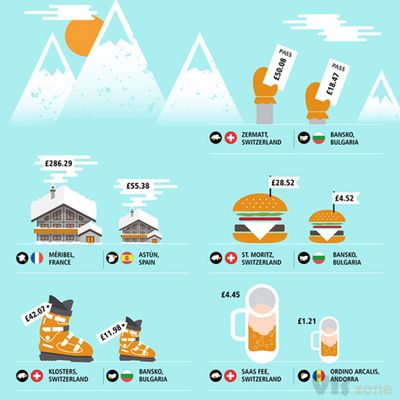 TripAdvisor Infographics & Illustration on Behance