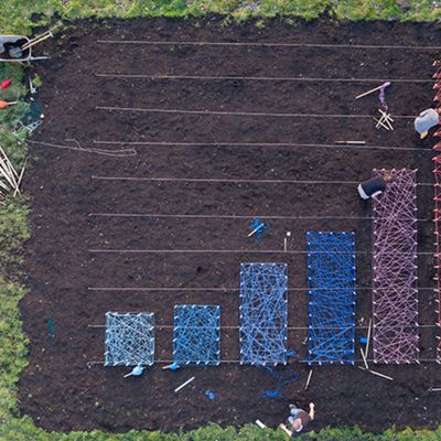 Infographics XXXXL Part 2 on Behance