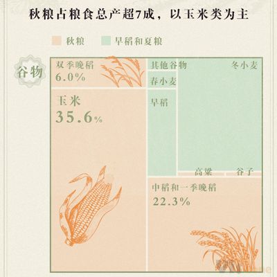 丰收·动图 | 我国秋粮有望15连丰，上海历年单产最高_美数课_澎湃新闻-The Paper