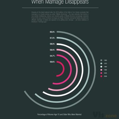 When Marriage Disappears: A Visual Representation of US Marriage Statistics [IN | Data visualization design, Infographic, Data visualization