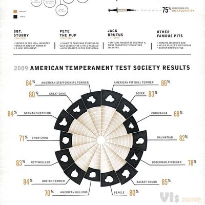 Dribbble - infographic_textured.jpg by Drew Lakin