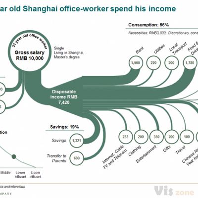 How one Chinese consumer spends his income