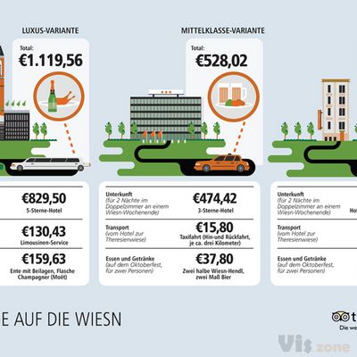 TripAdvisor Infographics & Illustration on Behance