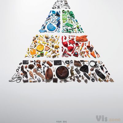 Pedigree - Dog's nutritional pyramid on Behance