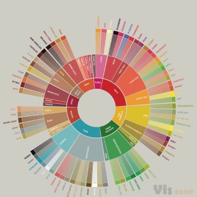 What it Means to Reinvent the Coffee Flavor Wheel