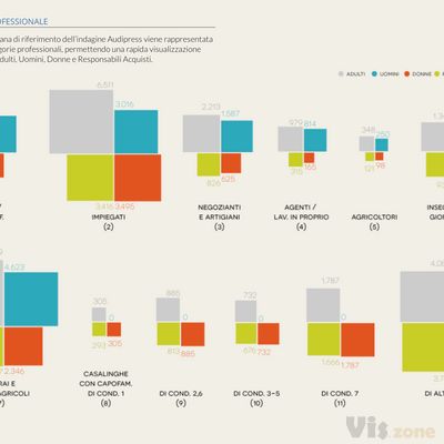 Audipress - Visual Report