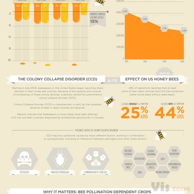 Infographic of the Day: Who Cares if Honey Bees Are Dying?