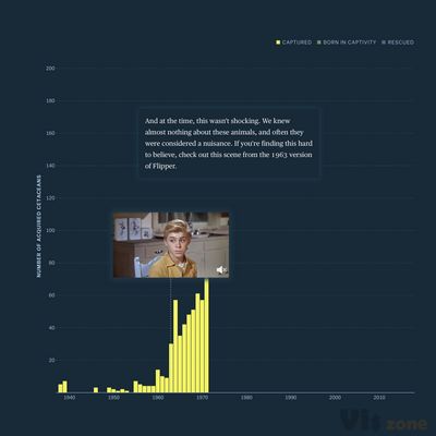 Free Willy and Flipper by the Numbers