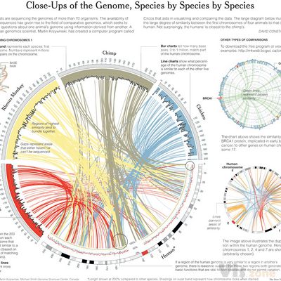 The New York Times > Science > Image >