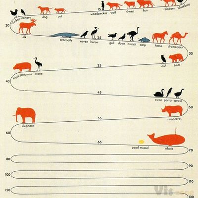information visualized | Informations design, Diagramm design, Informationsvisualisierung